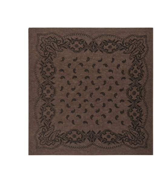 Adelina Paisley Knit Scarf Brown Melange