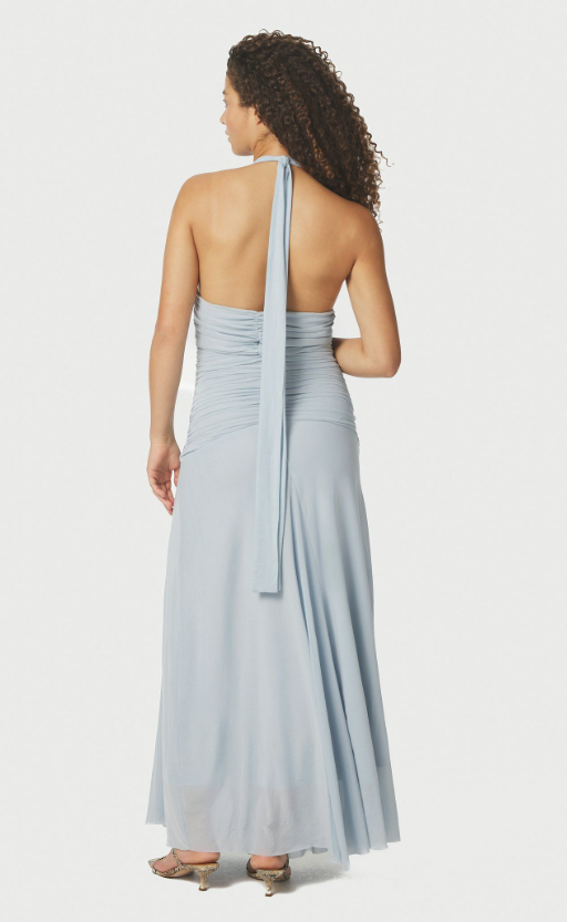 Lisseth Mesh Dress
