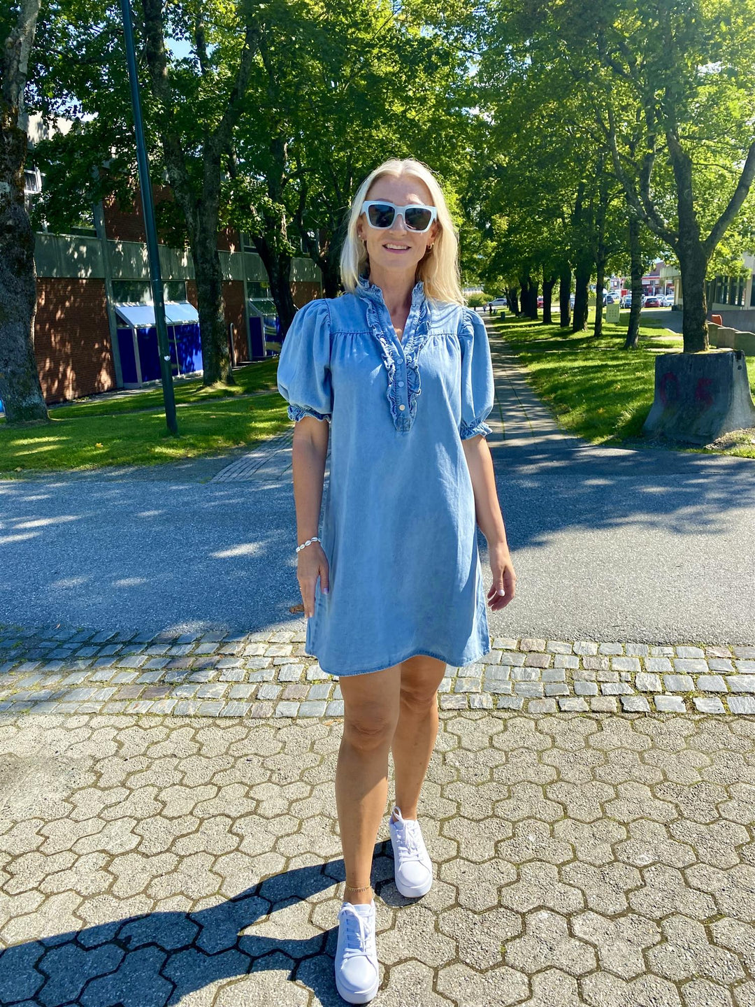 Alma Denim Dress