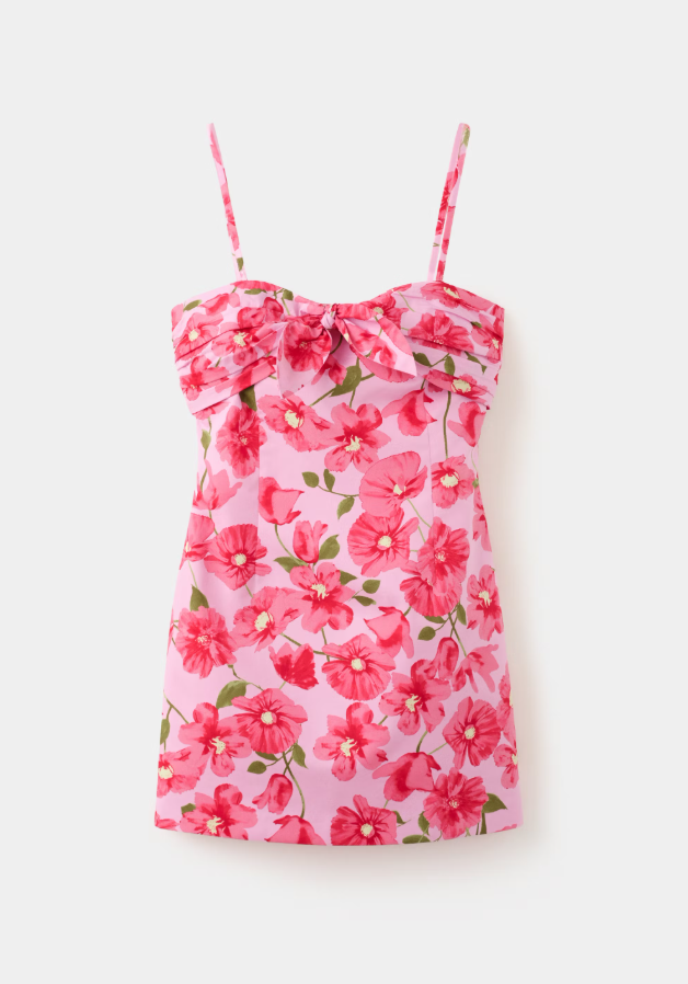 Dress Nudie