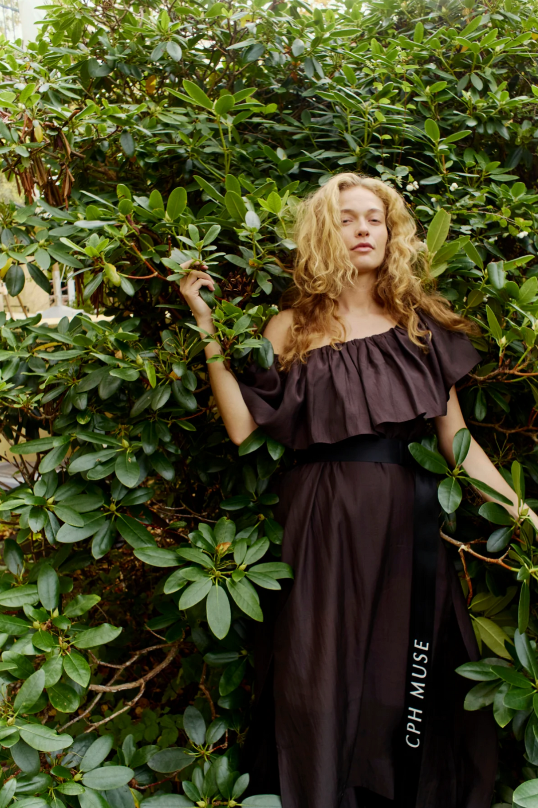 CMMolly Dress Mulch