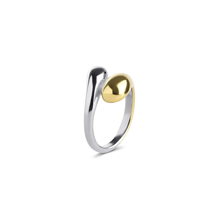 Ava Mixed Metal Ring