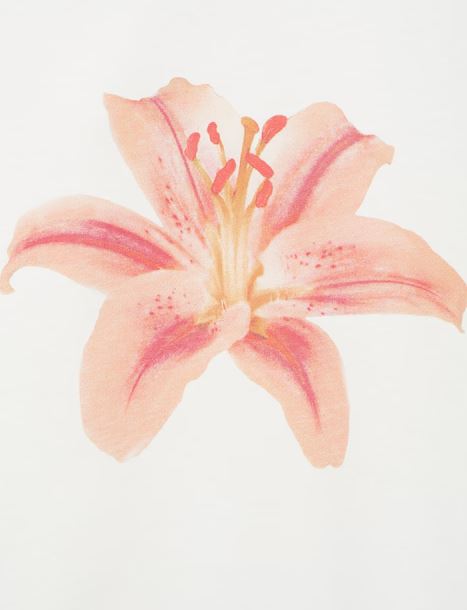 T-Shirt Floral