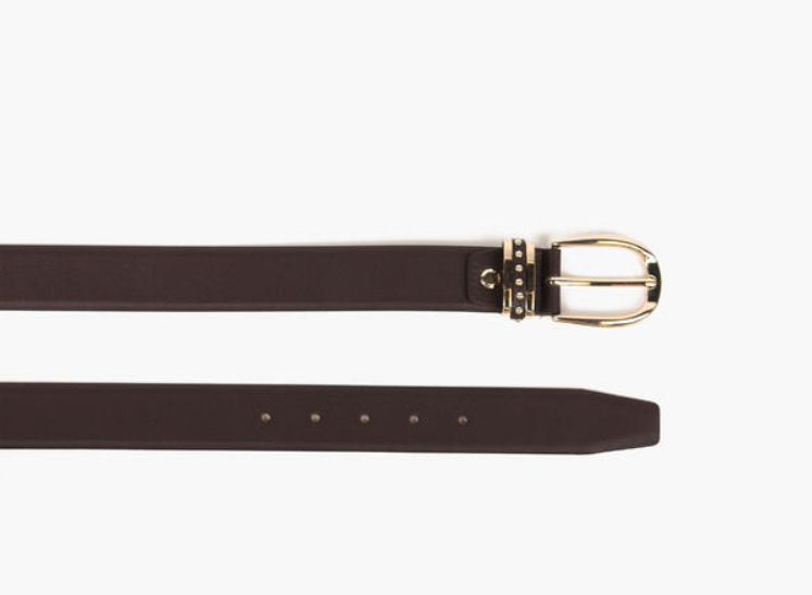 Skinnbelte med Gulldetaljer Brown